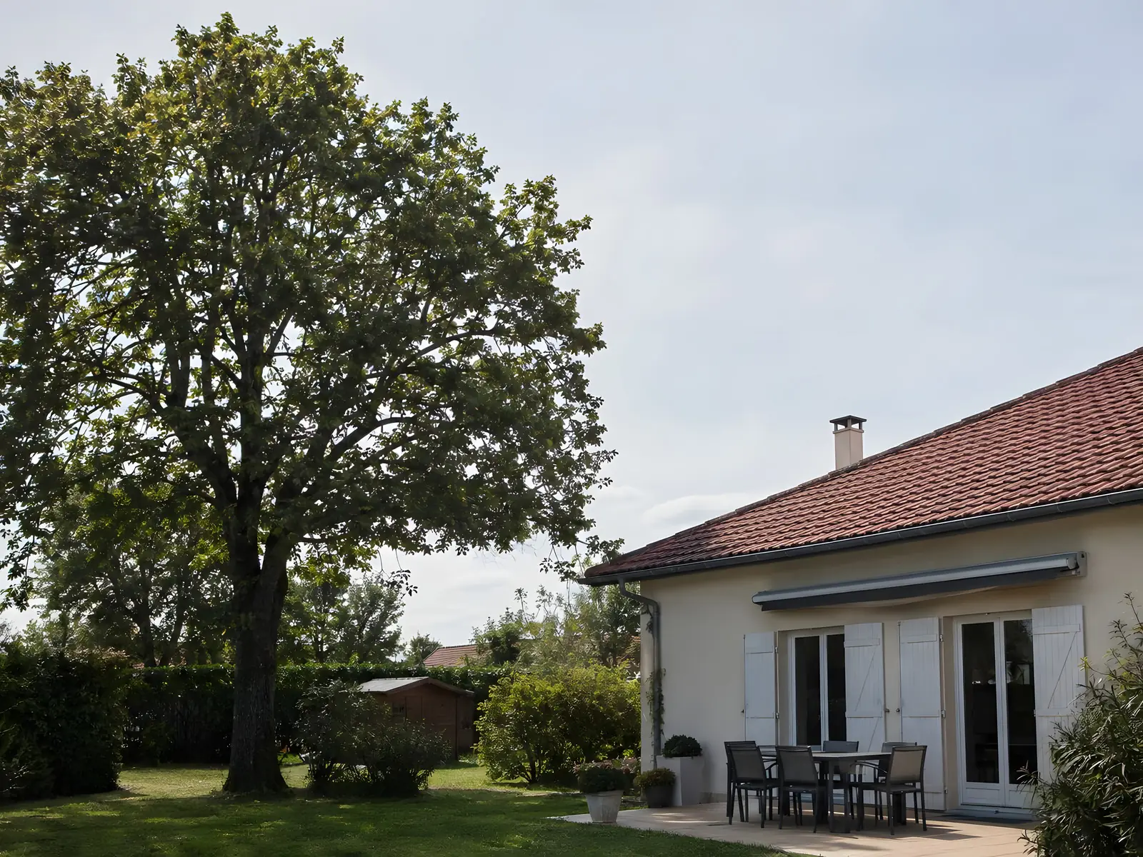 Grand arbre au houppier allégé et éclairci, ses branches désormais dégagées du toit de la maison et de la terrasse