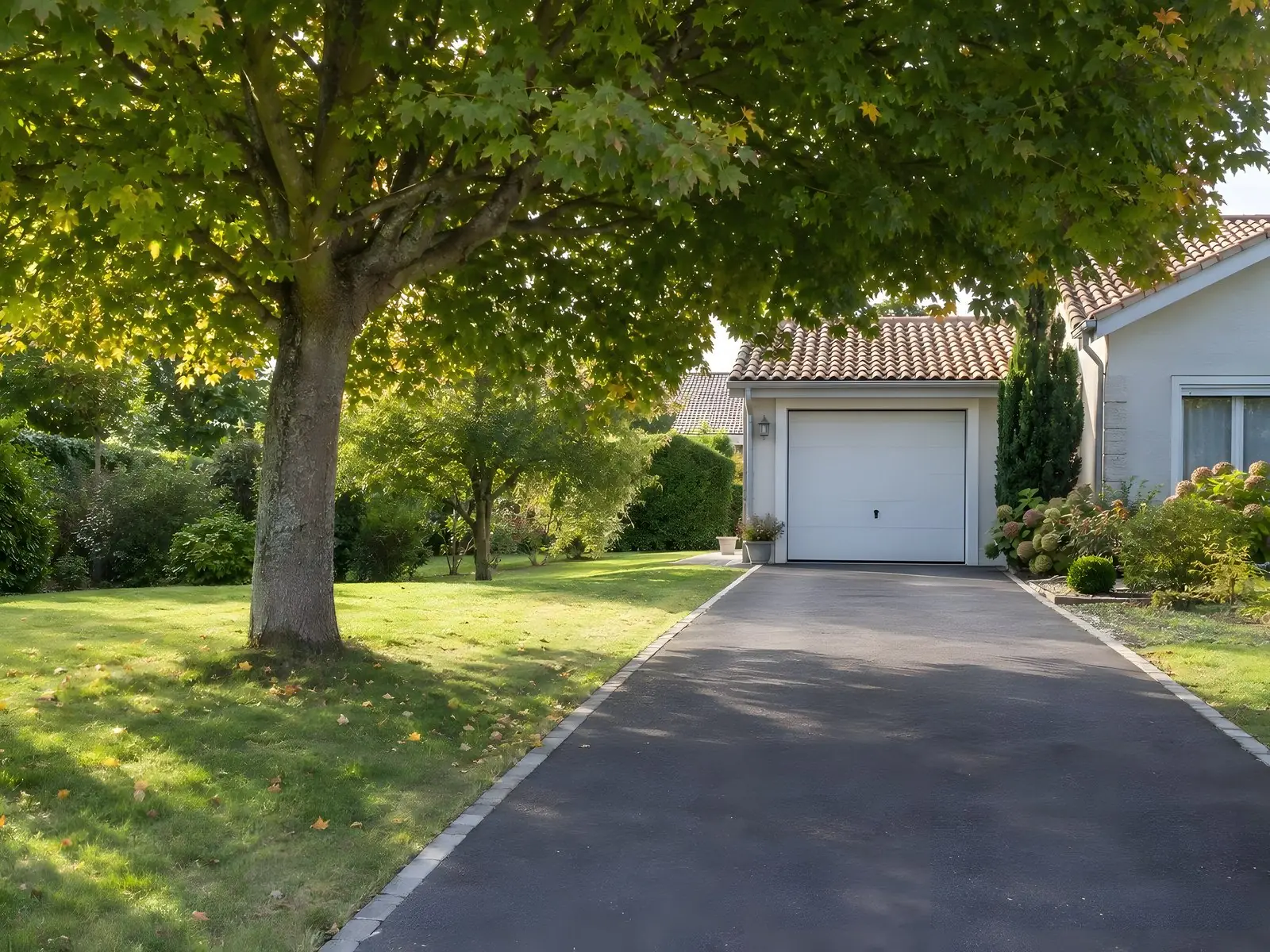 Allée en enrobé menant à un garage blanc sous un érable à la ramure relevée, toit de tuiles du garage dégagé