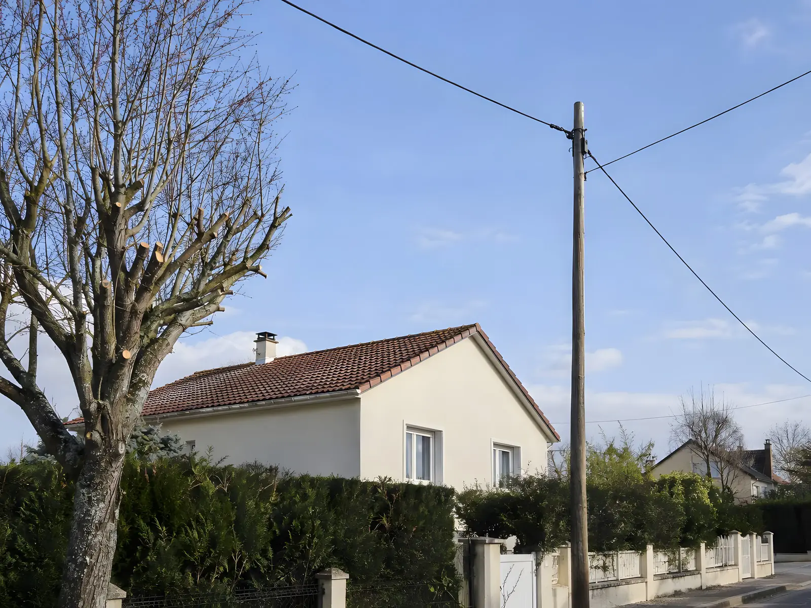 Arbre aux branches fraîchement raccourcies devant une maison, juste à côté d’un poteau en bois et de ses fils aériens